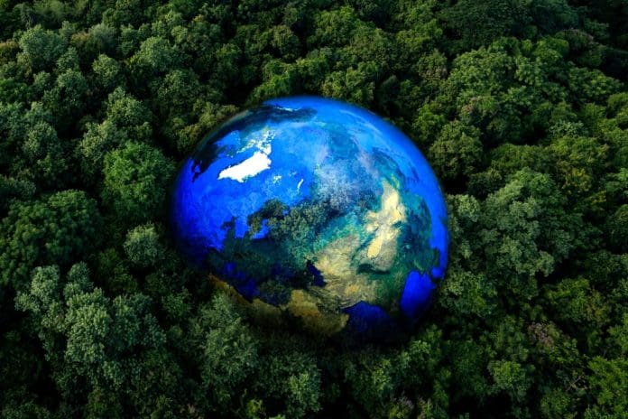 Earth observation uses satellites and AI to monitor ecosystems, track endangered species, and guide global biodiversity conservation efforts.
